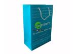 Customized Cardboard Gift Bags , Art Gift Paper Bulk Shopping Bags Blue Color