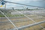 Agriculture Multi Span Poly Tunnel Greenhouse Environment Friendly For