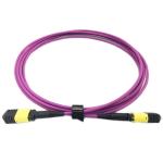 OFNP MPO Patch Cable