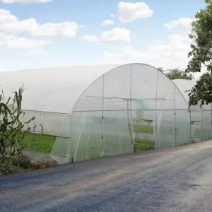 Quality Durable Agriculture UV Resistant Plastic Film Greenhouse Equipment For Vegetables wholesale