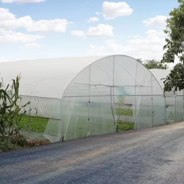 Durable Agriculture UV Resistant Plastic Film Greenhouse Equipment For