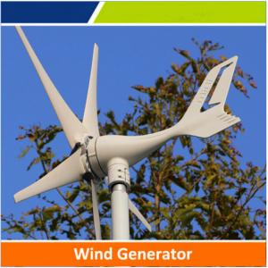 Small power wind turbine with competitive price for hot sale, OEM & ODM is available