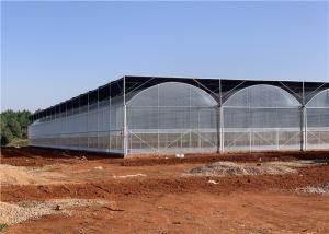 Quality Galvanized Steel Frame Plastic Film Greenhouse Good Insulation Performance wholesale