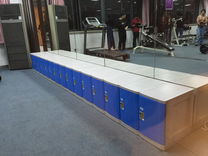 ABS Material Small Gym Lockers 8 Comparts 1 Column 1810 * 310 * 460mm