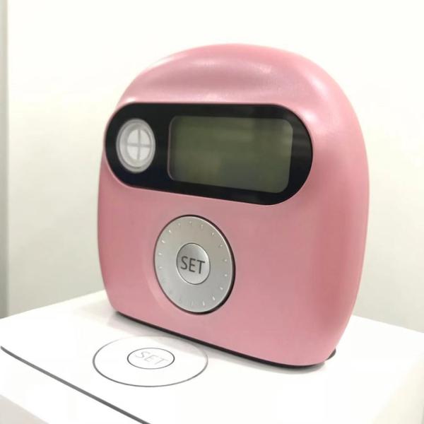 Mini Low Frequency Therapeutic Massager Digital Acupuncture Physiotherapy