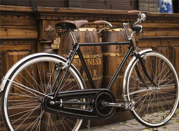 New style colorful hi-ten steel 28 big size elegant retro city bike for man made