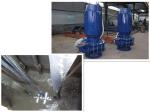 Industrial Electrical Submersible Slurry Pump With Anti Abrasive Material 50hz /