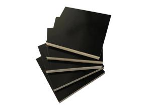 Quality High Bending Strength Laminate Faced Plywood Low Formaldehyde Emission wholesale