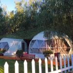 Pvc Star Room Spherical Canopy Outdoor Campsite Camping Picnic Party Tent