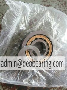 Quality 539090 65x160x37 chrome steel copper cage cylindrical roller bearing wholesale