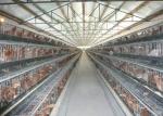 Collecting Egg Livestock Farming Equipment Automatic Poultry Farm Equipment