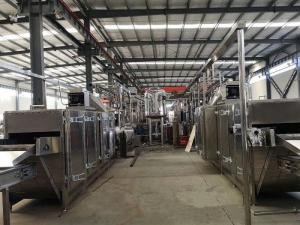 Quality Stainless Steel Peanut Frying Machine Processing Line 500kg/h 1000kg/h Capacity wholesale