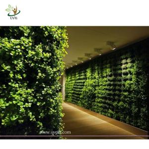 Quality UVG GRW020 Walls Decore Plastic Plant Green Wall Manufacturers garden decking wholesale
