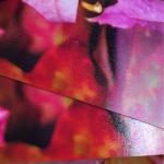 Pigment Ink RC Photo Paper