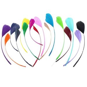Quality Loose Stripped Carnival Feathers , Event Party Goose Nagoire Feathers Dyed Colorful wholesale