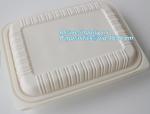 Disposable Plastic Takeaway Meal Tray, Corn starch blister packaging tray,
