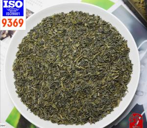 Quality Export chunmee 9369 green tea wholesale