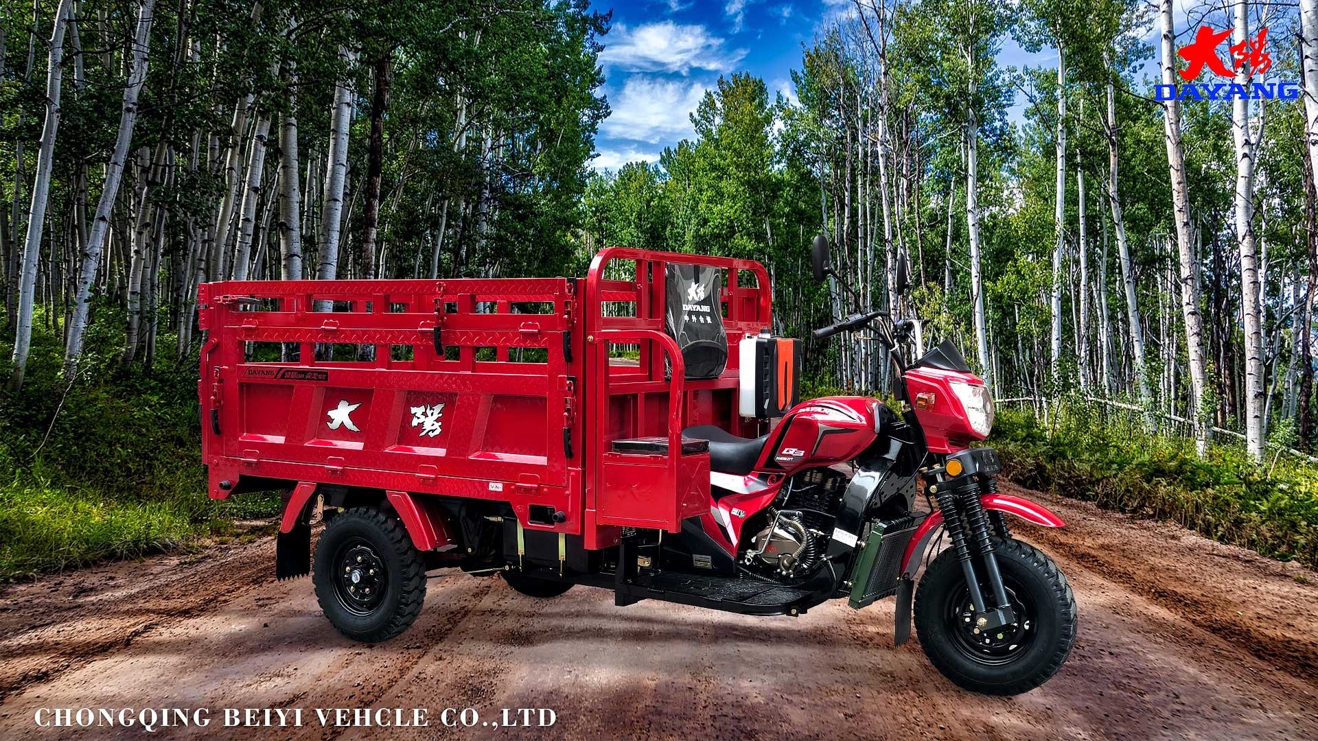 Open Body 150CC Cargo Tricycle with 200cc Displacement and Maximum Speed of ≥70Km/h