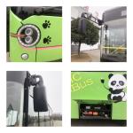 Electric 5 Star Safety Rated Mini Buses Powered By Electricity