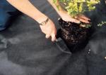 Rainy Season Pp Non Woven 90gsm Heavy Duty Weed Barrier