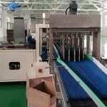 28KW Bottle Carton Packing Machine 20-25 Bottles Per Minute For Food Industry