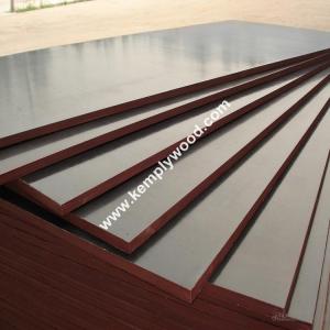 Quality Construction Film Faced Plywood WBP / Marine/Recycle Plywood (Poplar, Combi, Birch Core) wholesale