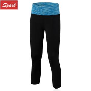 Quality Fitness Gym Slim Hollow Out Mesh Panel Cropped Leggings Track Pants wholesale
