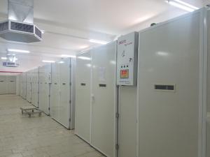 Quality 20000 Incubator Chicken Egg Hatching Machine wholesale