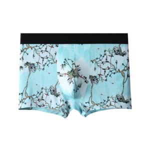 Quality Anti-Bacterial Mens Boxer Briefs Underwear Toucan Plus Size Man Panties wholesale