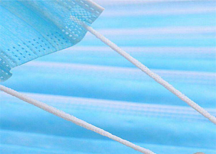 Nonirritating Disposable Earloop Face Mask Anti Virus High Breathability