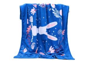 Quality Mink 80 x 160CM Cashmere Velvet Fleece Blanket , Customized Christmas Design Blanket wholesale