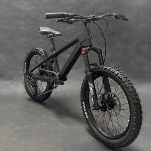 Quality 20er Kids Mountain Bike Disc Brake Shimano 10 Speed Bicycle For Children wholesale