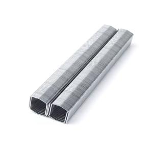 Quality ISO Standard Air Staple Stcr5019 Series 20 Gauge 11.60mm Crown 10mm Furniture Staple wholesale