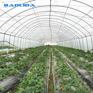 Quality Sheet Covering Shed Agricultural Single Span Plastic Tunnel Greenhouse wholesale