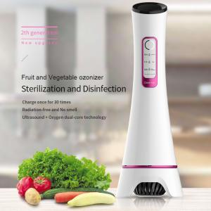 Quality 10W Ozone Ultrasonic Vegetable And Fruit Washer For Home Use wholesale