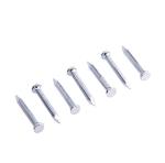 1 Inch - 6 Inch Electro Galvanized Nails Building Galvanized Steel Nails