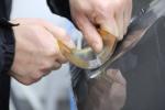 Latest Anti-scratch Resistance Transparent PPF Car Paint Protection Vinyl Wrap