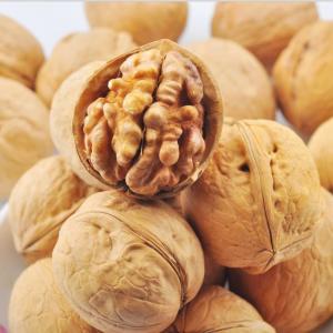 Quality Wholesale Xinjiang xin2 high-quality walnuts exported to Southeast Asia OEM ODM Amazon’s best-selling products wholesale