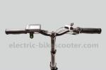 Adult Electric Folding Bike 250W 36V , 20 Inch Collapsible Electric Bike
