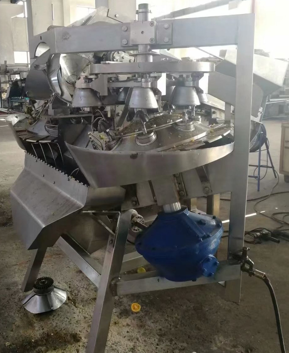 10TPH Fruit Juice Extraction Machine