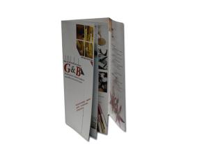 Quality Matte Art Paper Brochure Printing Custom Printing Brochures Flyer Printing wholesale