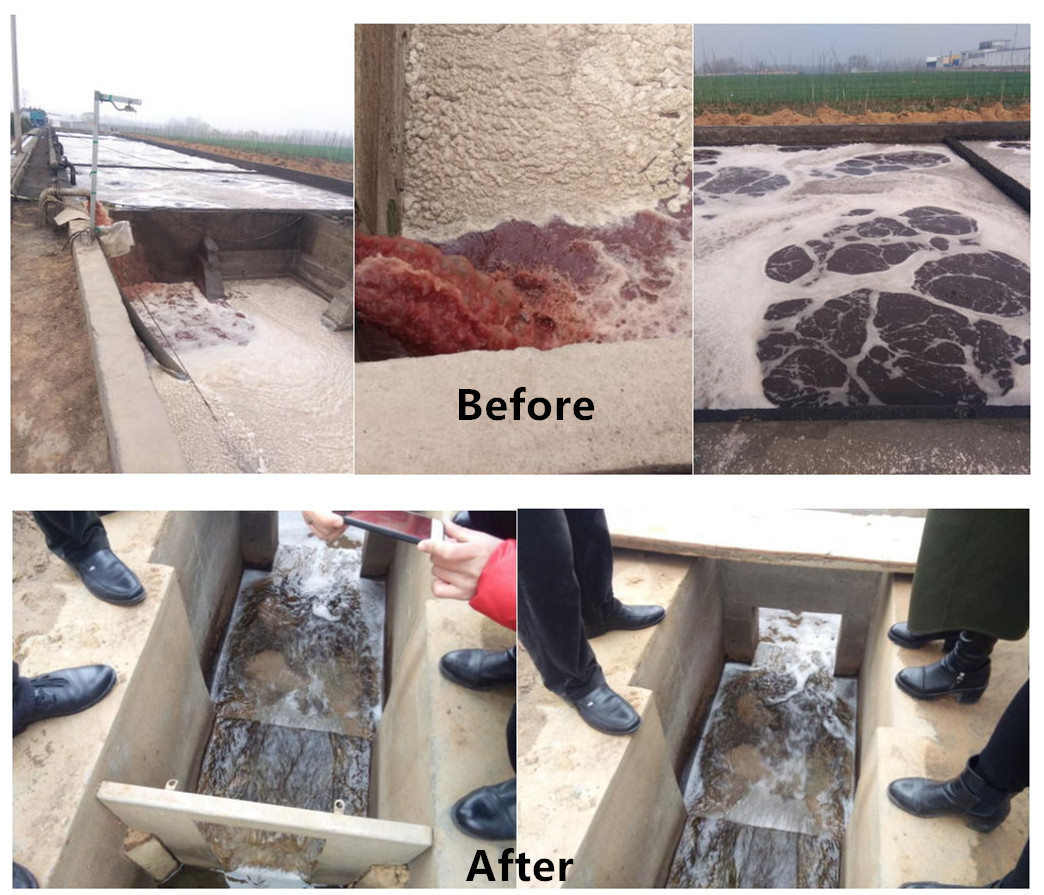 Customized 11kw Mobile Poultry Slaughterhouse Equipment for Chicken and Cow Processing