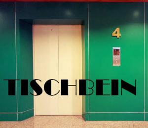 Quality 1.0m/s 304 Stainless Steel Freight Cargo Elevator 2000kg 3000kg 5000kg With Center Opening Door wholesale