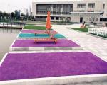 Topiary Purple Fake Grass Alphabet Letter Colorful Artificial Not Heating Up