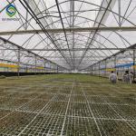 Galvanized Steel 0.15mm Polyethylene Film Greenhouse
