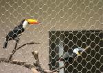 Knotted Stainless Steel Aviary Mesh Heat Resistant Perfect Anti - Rust Property