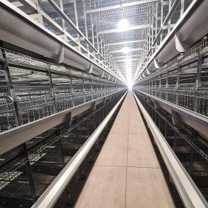 Quality Q235 Chicken Cages Poultry Farming Equipment 3-6mm Thickness wholesale