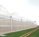 Seedling Cultivation Juxiang Hydroponic Farm Film Greenhouse with Customized
