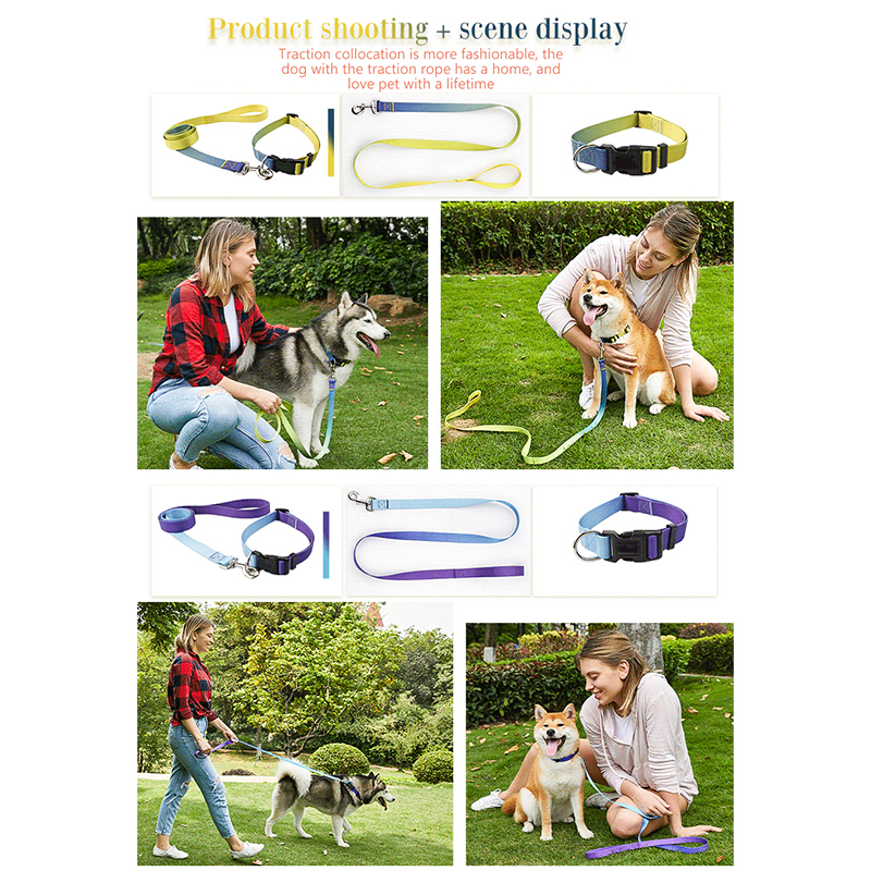 Dog Collar Luxury Gradient Adjustable Reversible Solid Custom Logo Designer Personalized