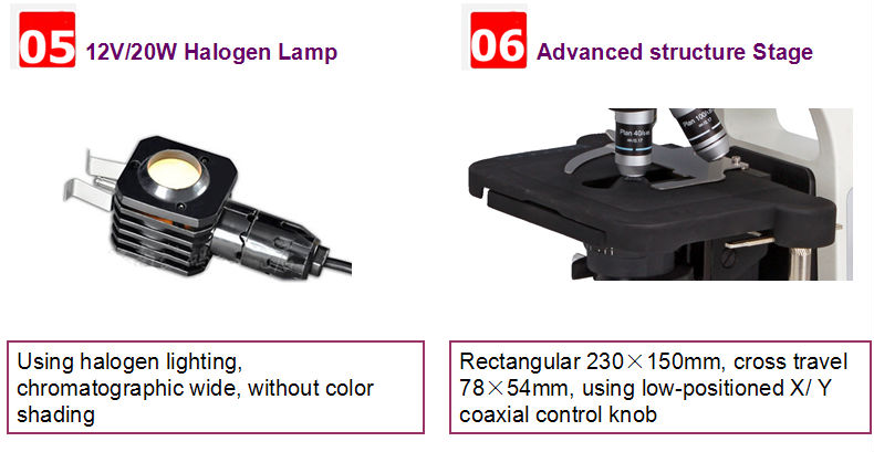 Double Layer Mechanical Stage Inverted Fluorescence Microscope 230×150mm NCH-B2000